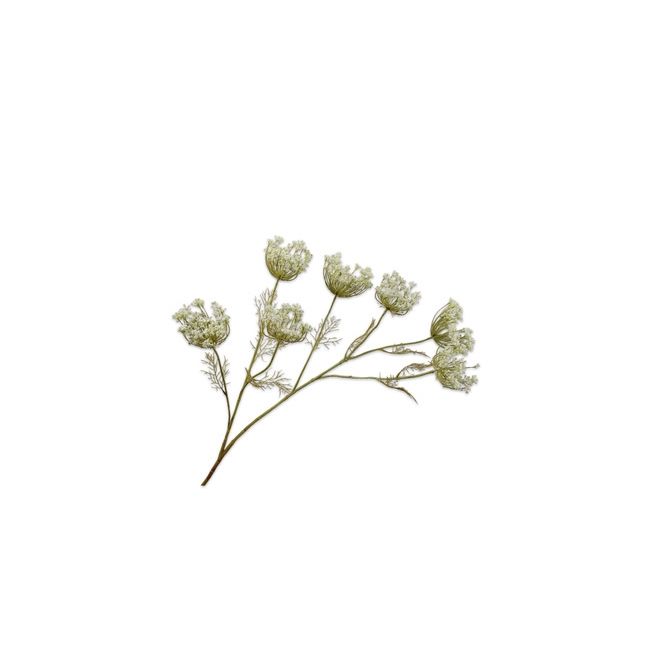 SILK-KA | Silk-ka | Dille Tak | Groen | 107cm