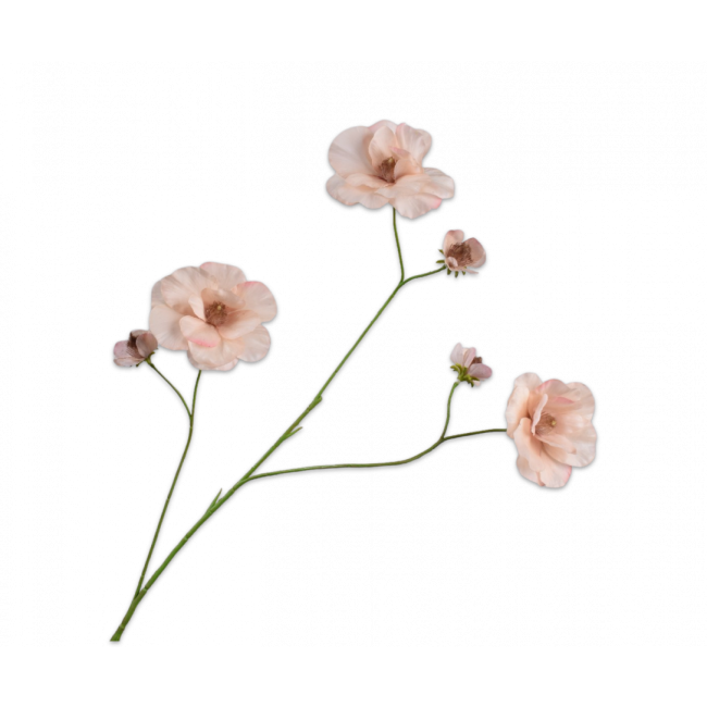 SILK-KA | Silk-ka | Lisianthus Tak | Perzik | 96cm