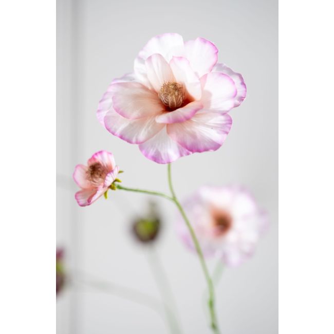 SILK-KA | Silk-ka | Lisianthus Tak |Roze/Creme| 96cm