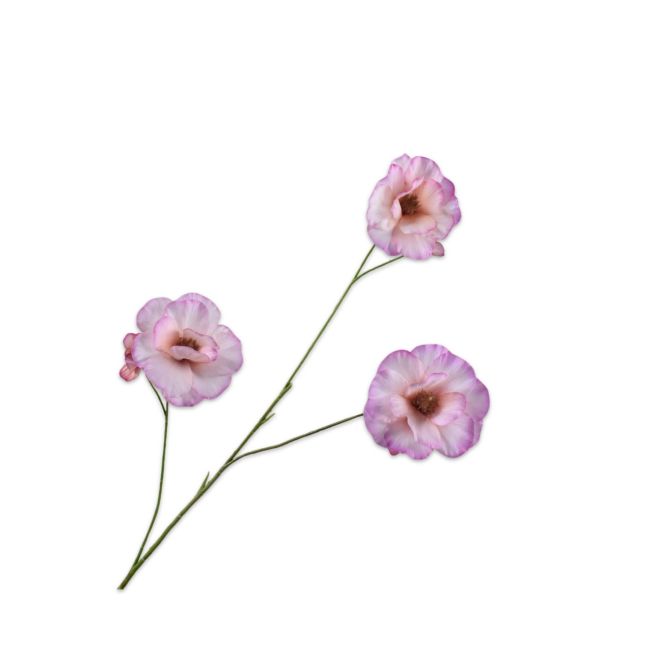 SILK-KA | Silk-ka | Lisianthus Tak |Roze/Creme| 96cm