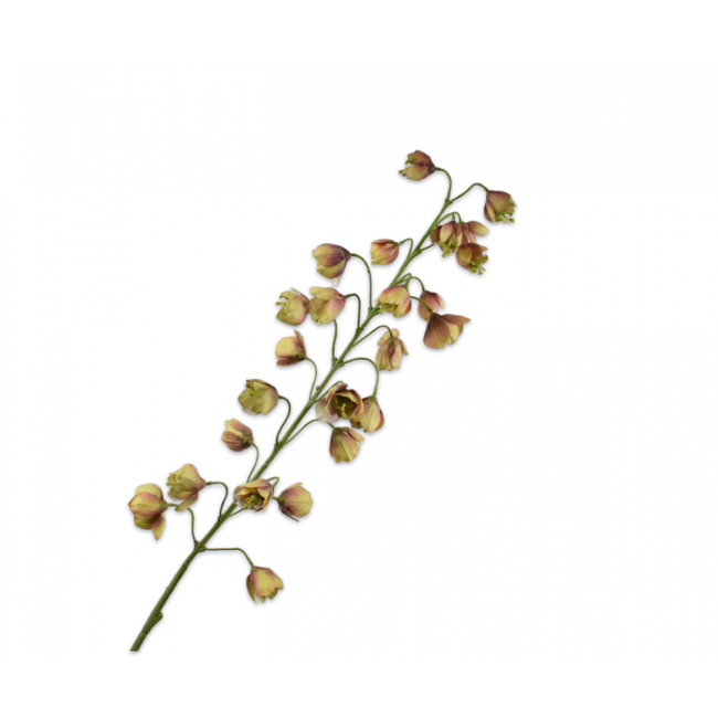 SILK-KA | Silk-ka | Fritillaria Tak | Bruin/Groen | 111cm