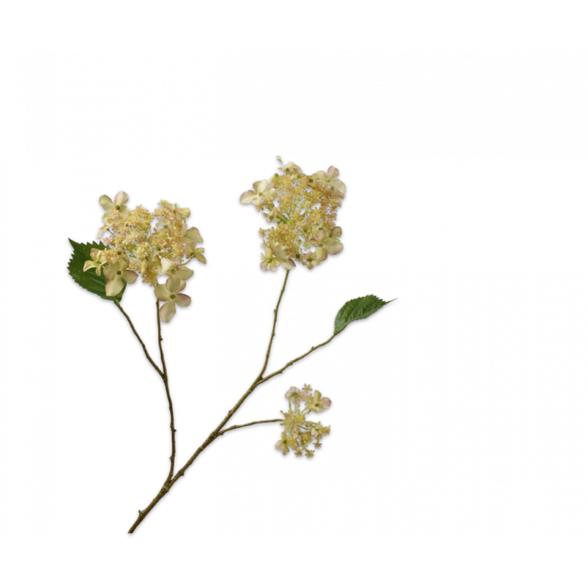 SILK-KA | Silk-ka | Hortensia Tak | Creme/Groen | 99cm