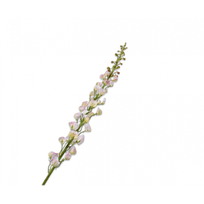 SILK-KA | Silk-ka | Lathyrus Steel | Crème/Roze | 135cm