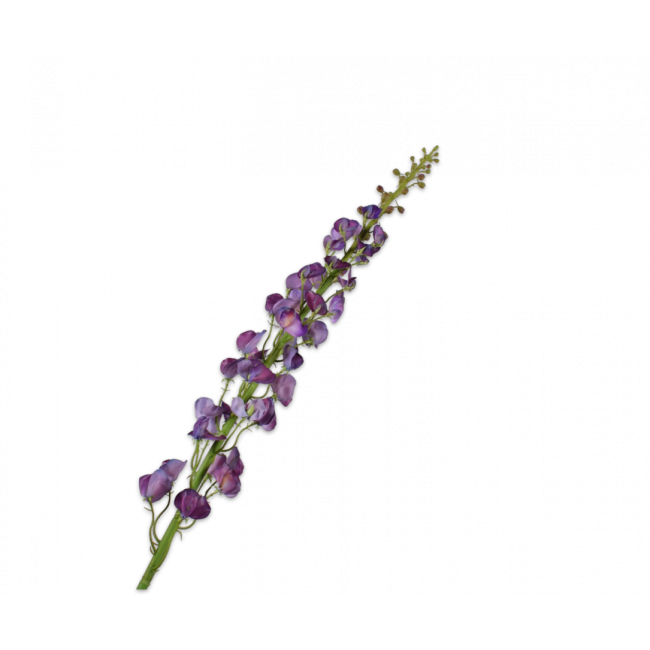 SILK-KA | Silk-ka | Lathyrus Steel | Paars | 135cm