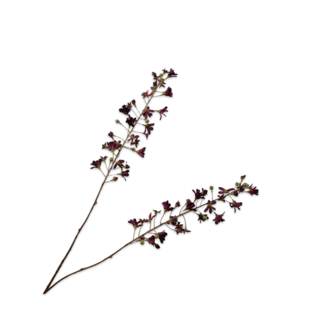 SILK-KA | Silk-ka | Hyacint Tak | Bordeaux | 111cm