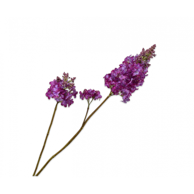 SILK-KA | Silk-ka | Sering Tak | Paars | 110cm