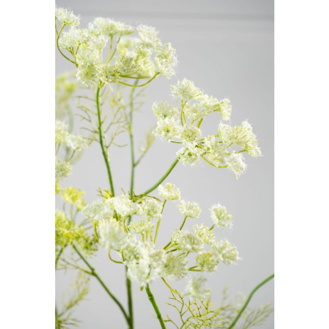 SILK-KA | Silk-ka | Dille Tak | Wit | 105cm