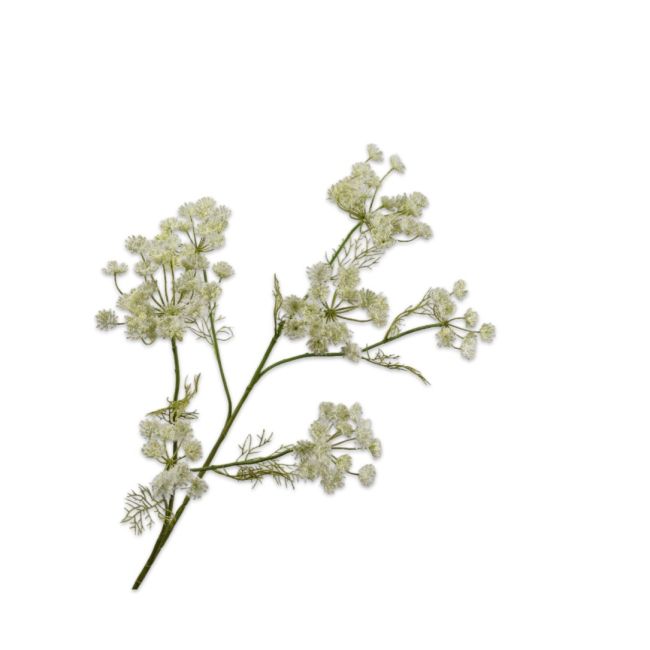 SILK-KA | Silk-ka | Dille Tak | Wit | 105cm