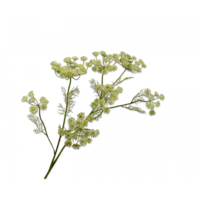 SILK-KA | Silk-ka | Dille Tak | Groen | 105cm