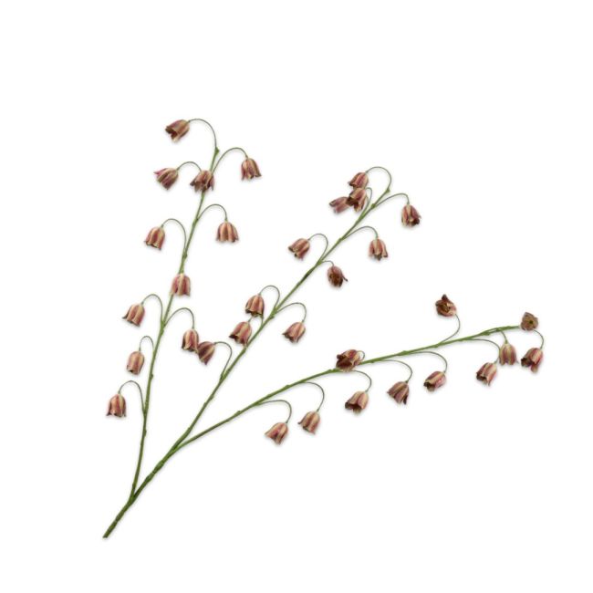 SILK-KA | Silk-ka | Fritillaria Tak | Bordeaux/Groen| 97cm