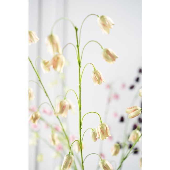 SILK-KA | Silk-ka | Fritillaria Tak | Mauve/Groen| 97cm