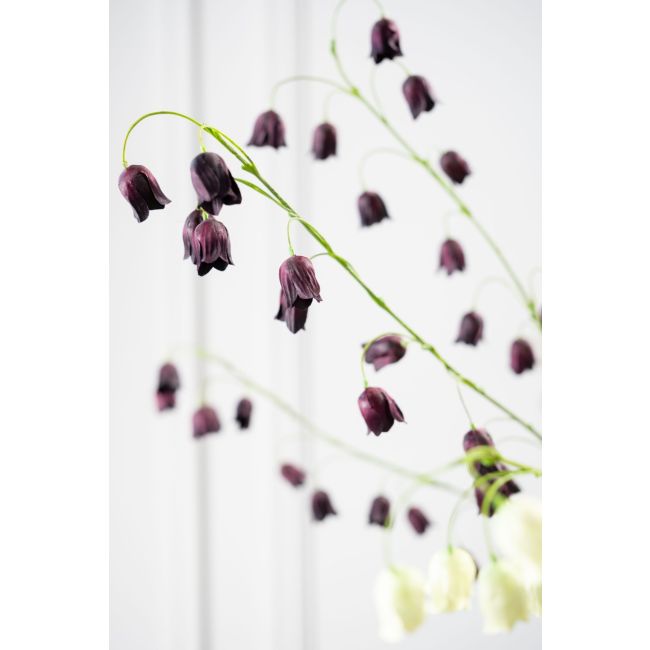 SILK-KA | Silk-ka | Fritillaria Tak | Bordeaux | 97cm