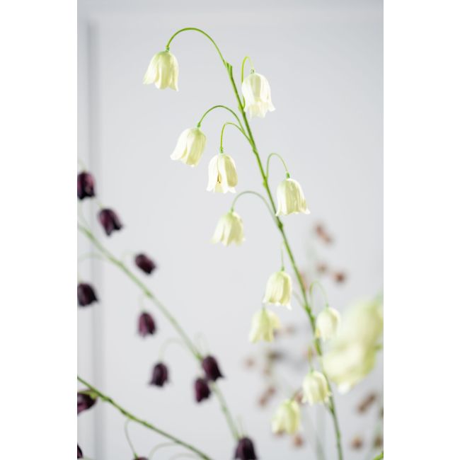 SILK-KA | Silk-ka | Fritillaria Tak |Groen| 97cm