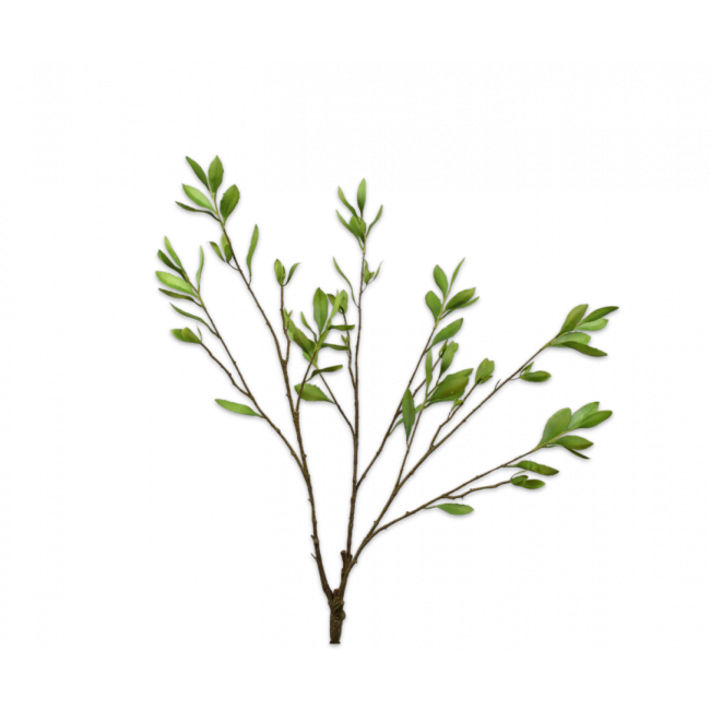 SILK-KA | Silk-ka | Sedum Bush | Groen | 90cm