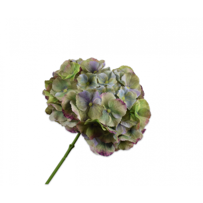 SILK-KA | Silk-ka | Hortensia Steel | Blauw/Groen | 75cm