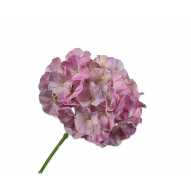 SILK-KA | Silk-ka | Hortensia Steel | Lichtroze | 75cm