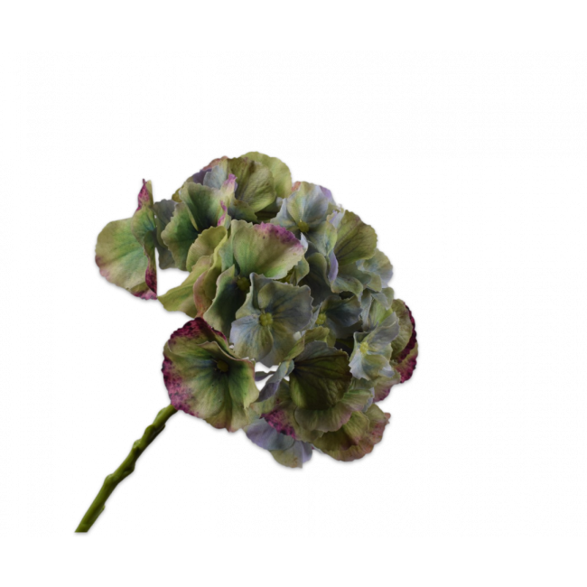 SILK-KA | Silk-ka | Hortensia Steel | Blauw/Groen | 51cm