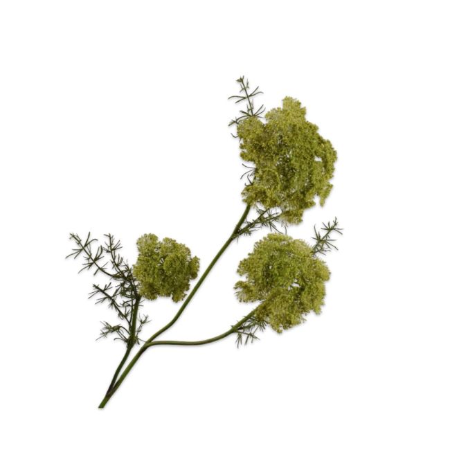 SILK-KA | Silk-ka | Dille Tak | Groen | 74cm