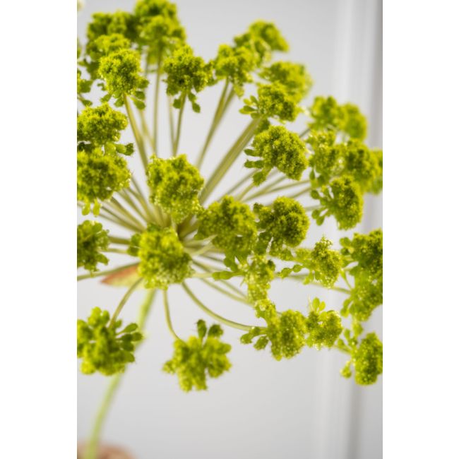 SILK-KA | Silk-ka | Dille Steel | Groen | 85cm