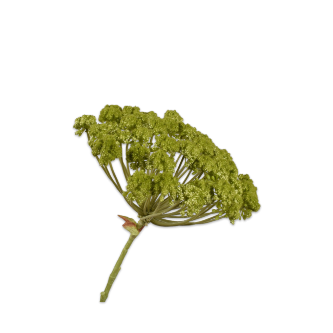 SILK-KA | Silk-ka | Dille Steel | Groen | 85cm