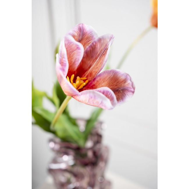 SILK-KA | Silk-ka | Tulp Steel | Paars | 72cm