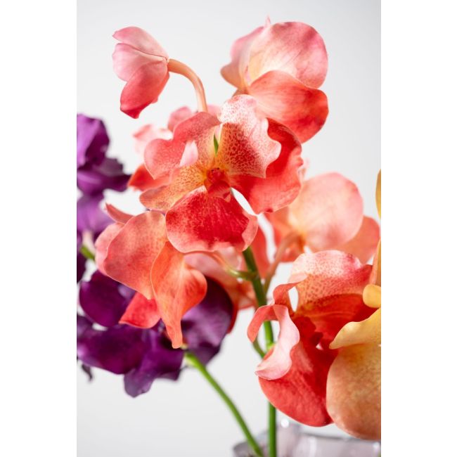 SILK-KA | Silk-ka | Vanda Tak | Zalm | 74cm