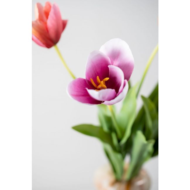 SILK-KA | Silk-ka | Tulp Steel | Paars | 84cm