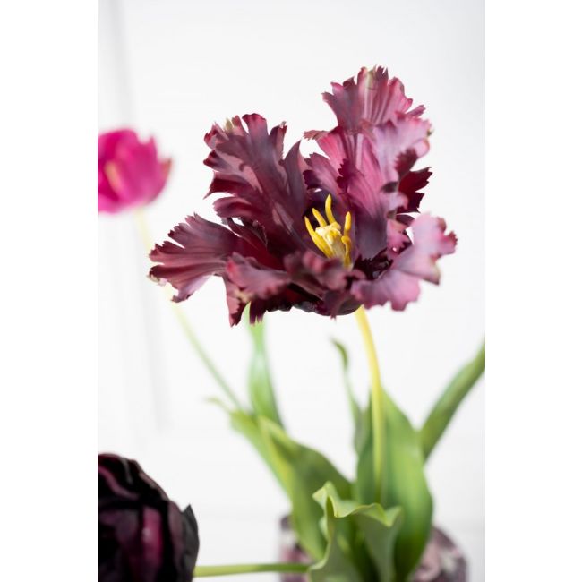 SILK-KA | Silk-ka | Tulp Steel | Bordeaux | 71cm