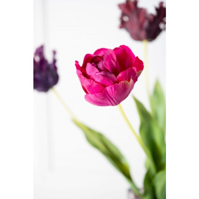 SILK-KA | Silk-ka | Tulp Steel | Beauty | 82cm