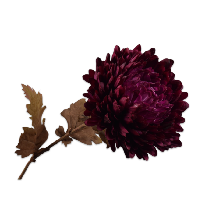 SILK-KA | Silk-ka | Chrysant Steel | Paars | 75 cm