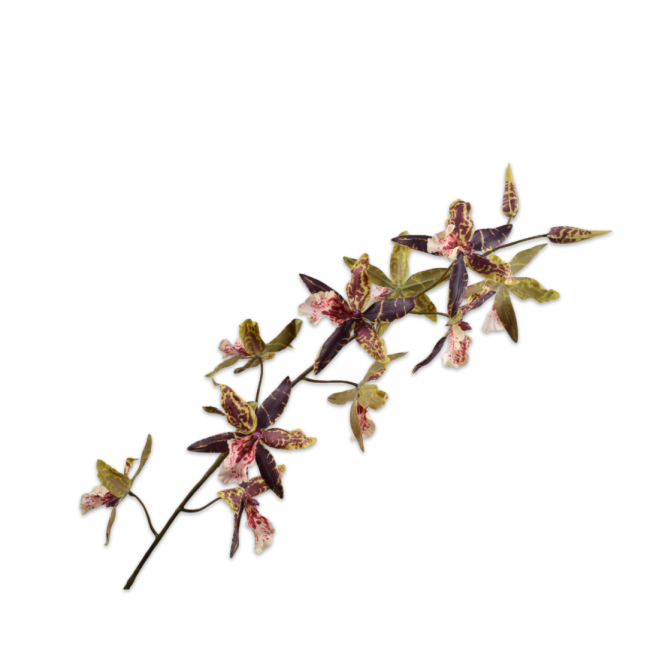 SILK-KA | Silk-ka | Oncidium Steel Bruin/Groen | Real Touch | 109 cm