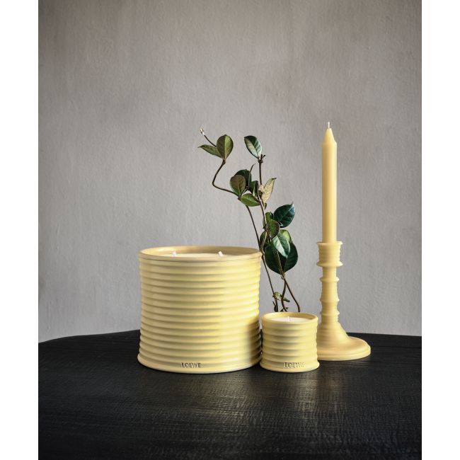 LOEWE  | Loewe | Honeysuckle | Wax Candle holder | Geurkaars 