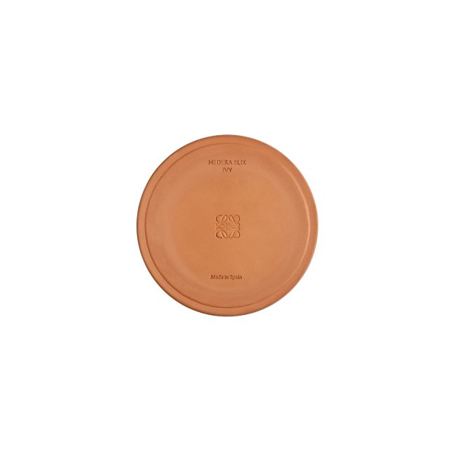 LOEWE  | Loewe | Ivy | Geurkaars | L