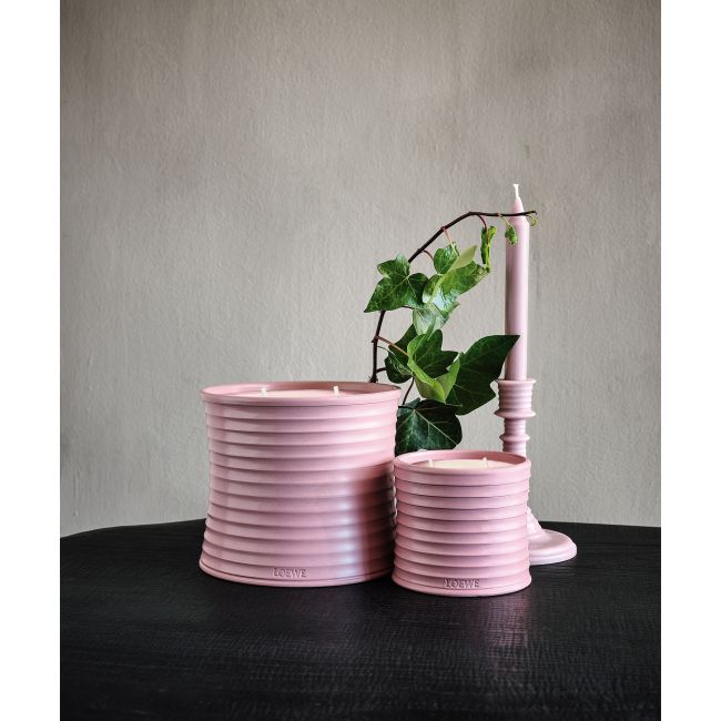 LOEWE  | Loewe | Ivy | Geurkaars | L