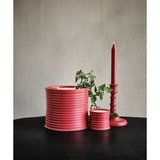 LOEWE  | Loewe | Tomato Leaves | Geurkaars | S