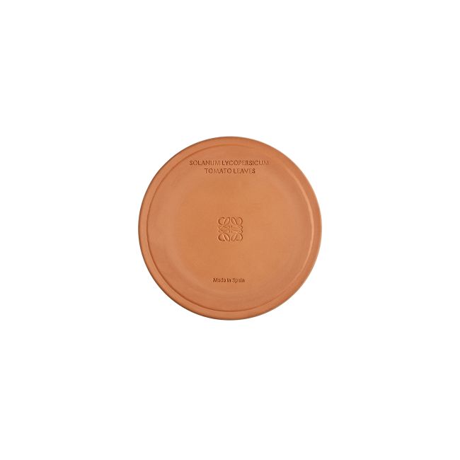 LOEWE  | Loewe | Tomato Leaves | Geurkaars | L