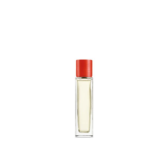 LOEWE  | Loewe | Tomato Leaves | Huisparfum