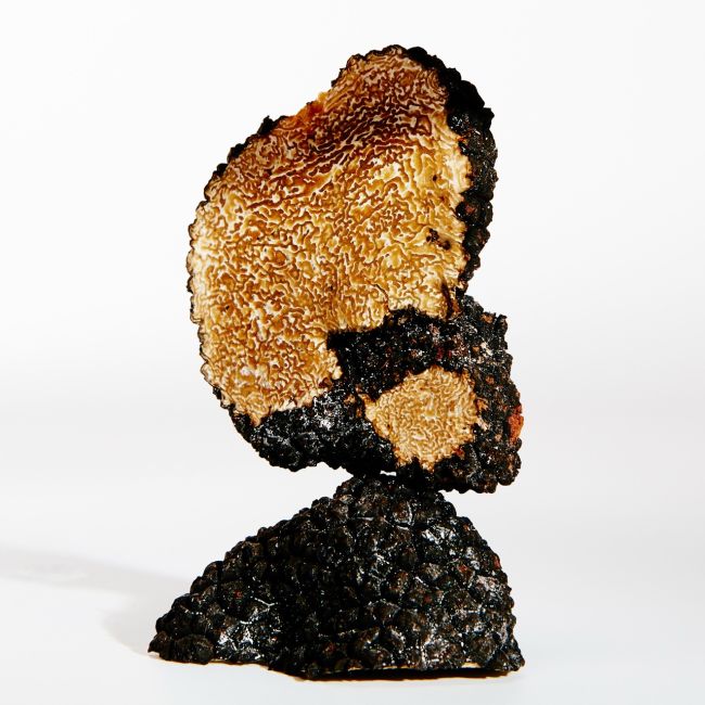 LOEWE PERFUMES | Loewe Perfumes | Earth | Eau de Parfum