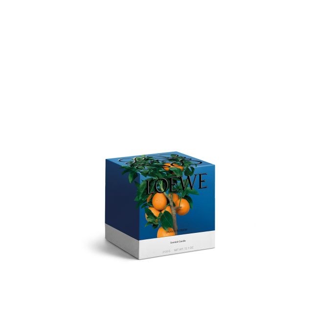 LOEWE | Loewe | Orange Blossom | Geurkaars | L