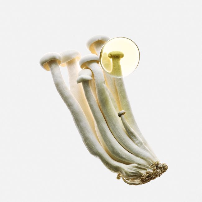 LOEWE PERFUMES | Loewe Perfumes | Earth | Elixir | Eau de Parfum