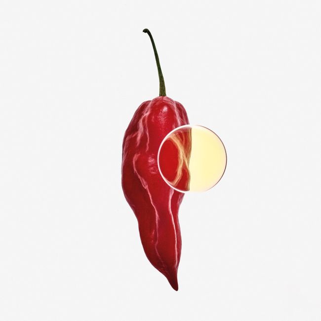 LOEWE PERFUMES | Loewe Perfumes | Elixir | 7 | Eau de Parfum