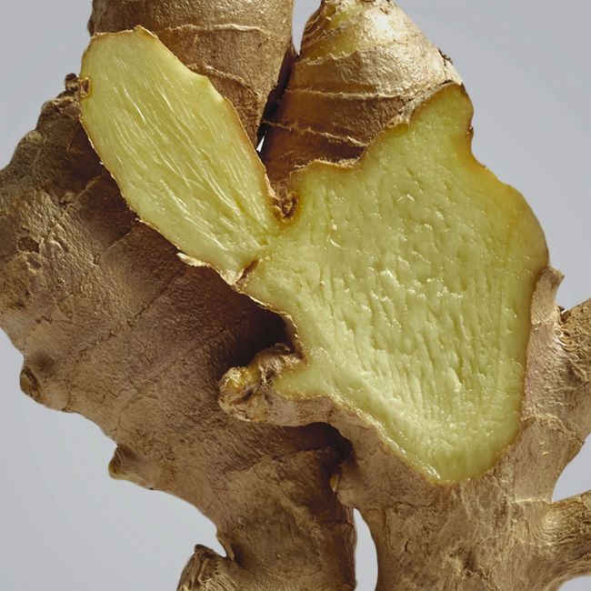 LOEWE | Loewe | Ginger | Outdoor Candle