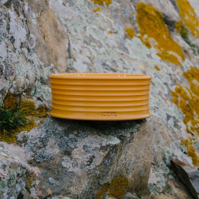LOEWE | Loewe | Ginger | Outdoor Candle