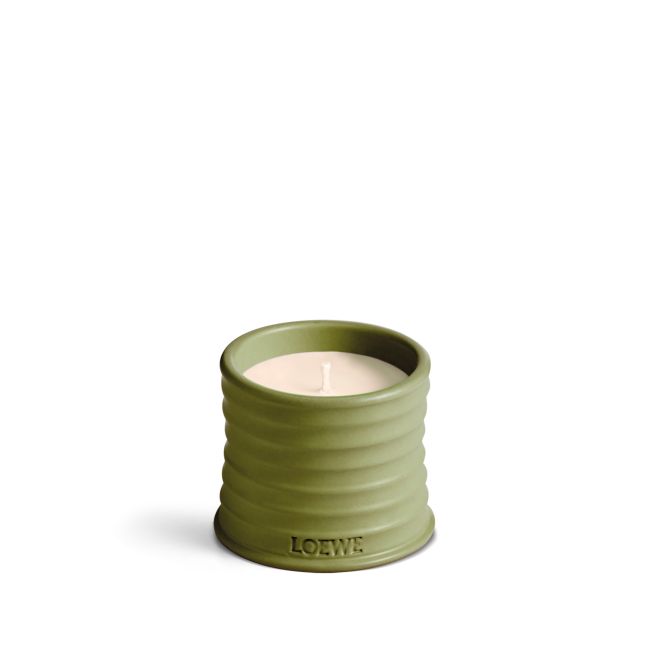 LOEWE | Loewe | Pistachio | Geurkaars | S