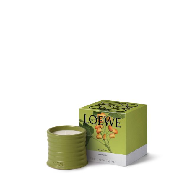 LOEWE | Loewe | Pistachio | Geurkaars | S