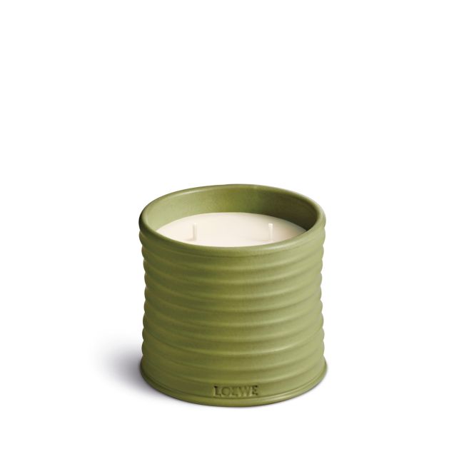 LOEWE | Loewe | Pistachio | Geurkaars | M