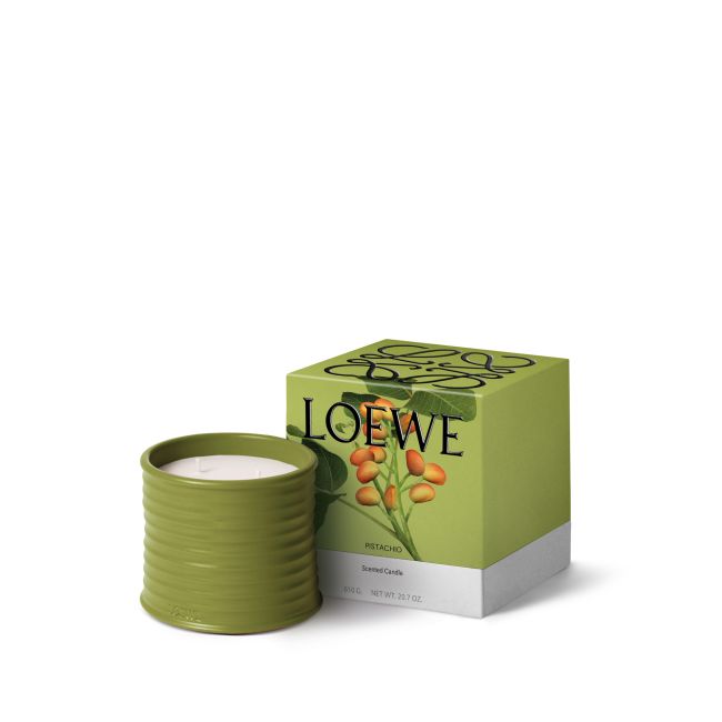 LOEWE | Loewe | Pistachio | Geurkaars | M