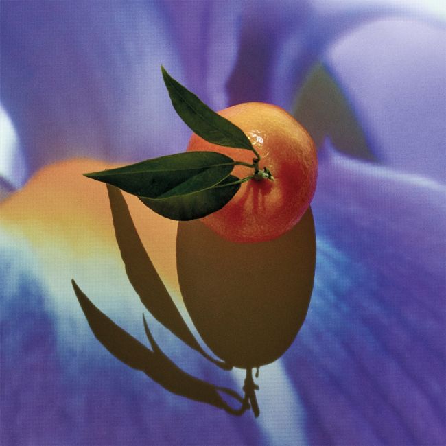 LOEWE PERFUMES | Loewe Perfumes | Solo | Elixir | Eau de Parfum