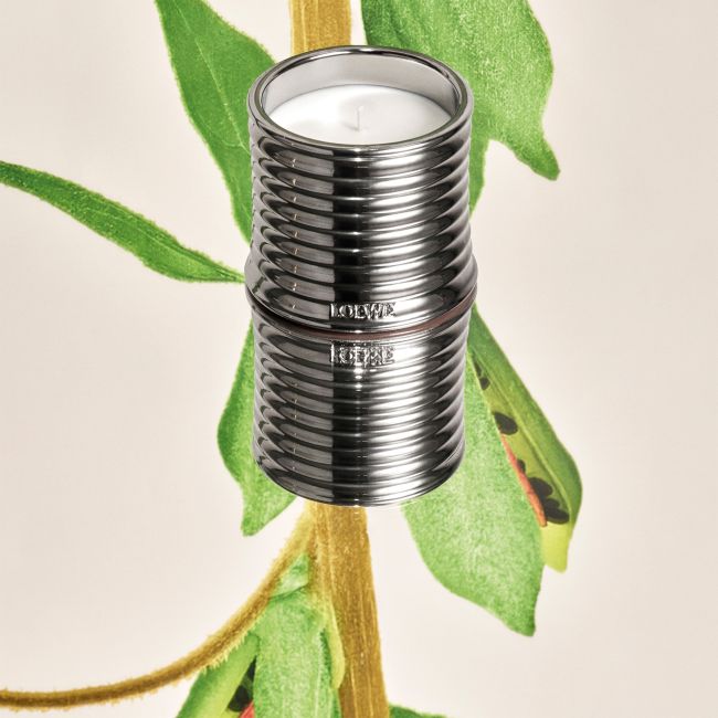 LOEWE | Loewe | Black Sesame | Geurkaars | Midi