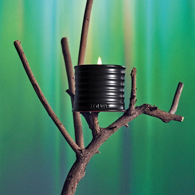 LOEWE | Loewe | Palo Santo | Geurkaars | S